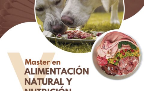 V-MASTER-EN-ALIMENTACIÓN-NATURAL-Y-NUTRICIÓN-FUNCIONAL-(1)