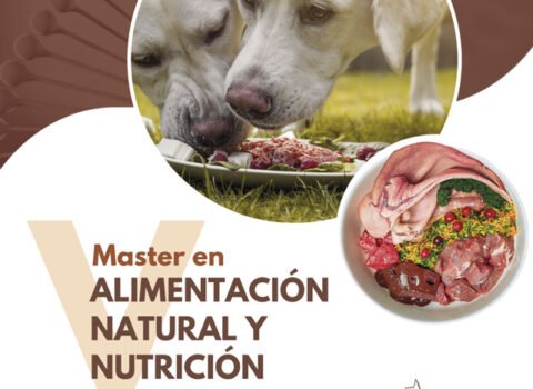 V-MASTER-EN-ALIMENTACIÓN-NATURAL-Y-NUTRICIÓN-FUNCIONAL-(1)