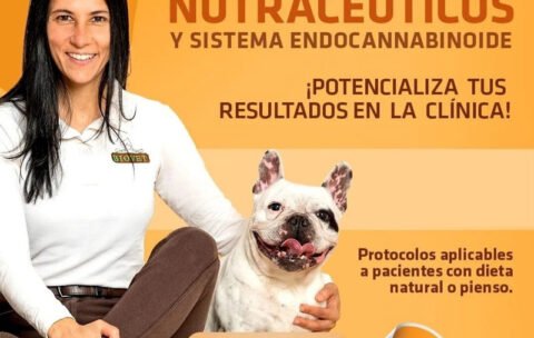 CURSO DE MEDICINA NUTRACÉUTICA
