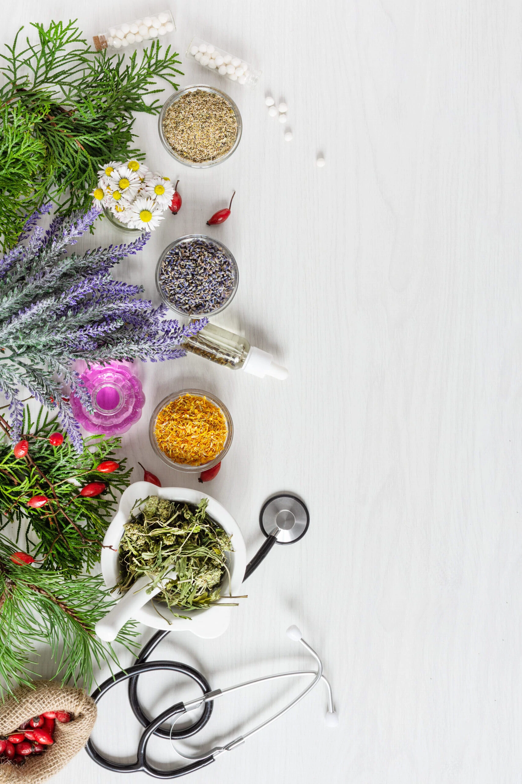 alimentos naturales animales