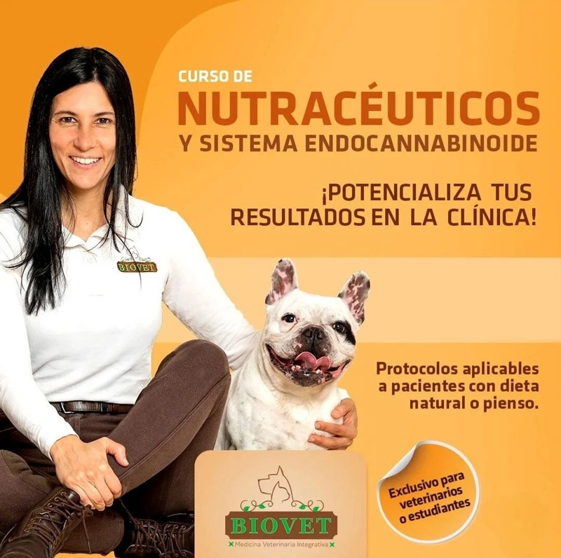 Cartel del Curso de Medicina Veterinaria Nutraceutica y Sistema Endocannabinoide, parte de los cursos de medicina veterinaria online de VetbioEaD