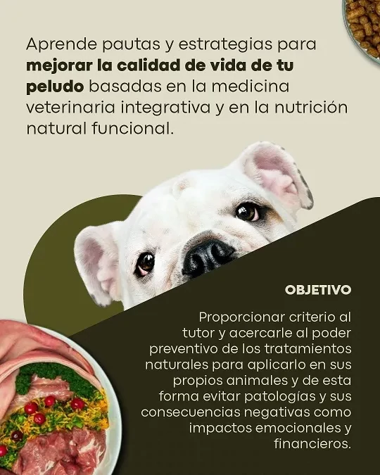 Cartel objetivos del Curso Nutrición Veterinaria y Tratamientos Naturales Preventivos para Perros y Gatos