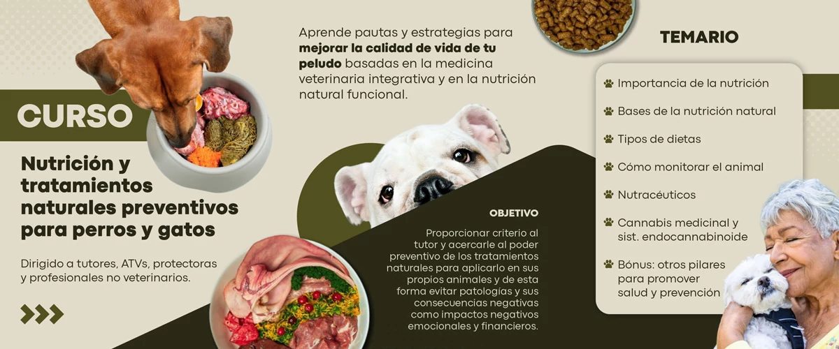 Cartel del programa del Curso Nutrición Veterinaria y Tratamientos Naturales Preventivos para Perros y Gatos