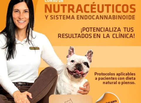 Curso de medicina veterinaria nutracéutica y endocannabinoide