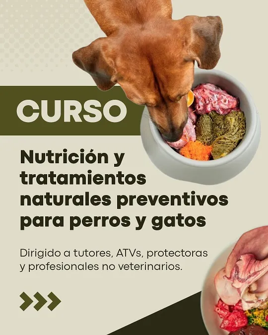 Cartel del Curso de Nutrición y Tratamientos Naturales Preventivos para Perros y Gatos, parte de los cursos de medicina veterinaria online de VetbioEaD