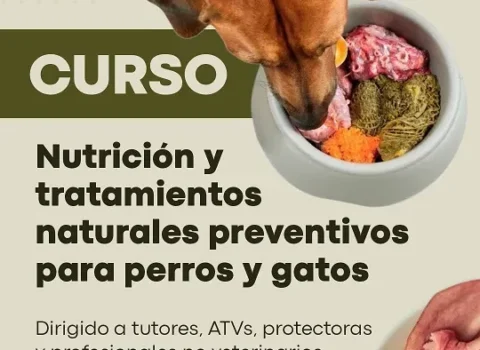 Cartel del Curso Nutrición Veterinaria y Tratamientos Naturales Preventivos para Perros y Gatos