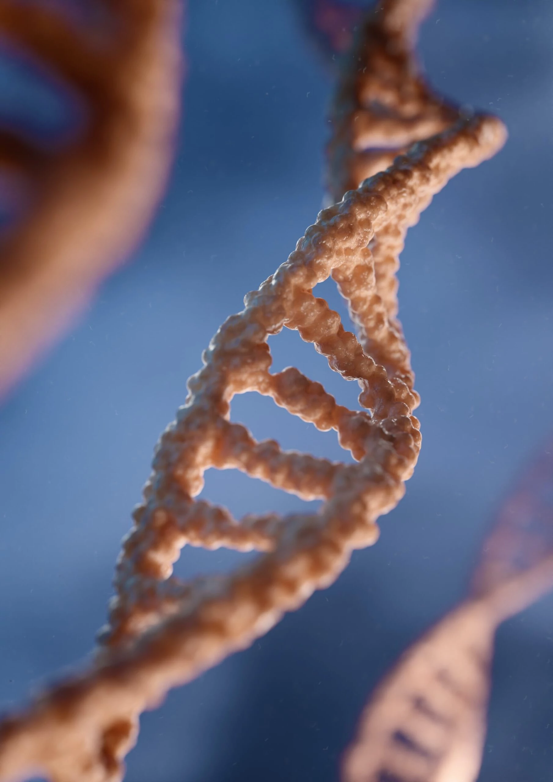 Integración metabólica y nutrición funcional en veterinaria