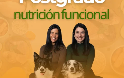 poster-postgrado-nutricion-funcional