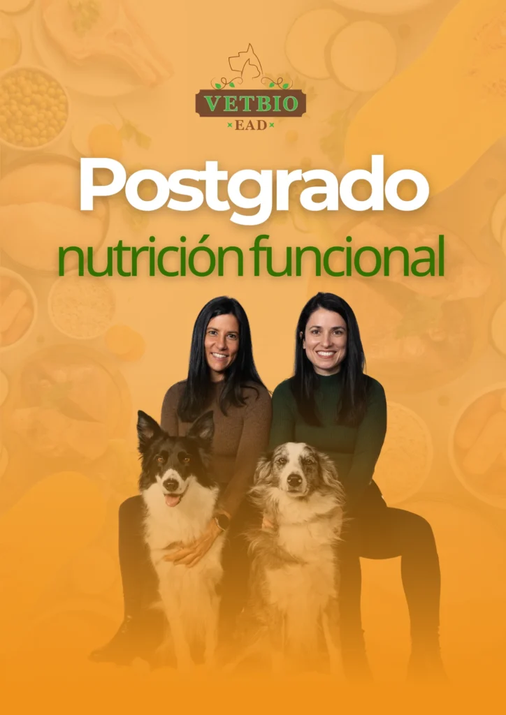 poster-postgrado-nutricion-funcional