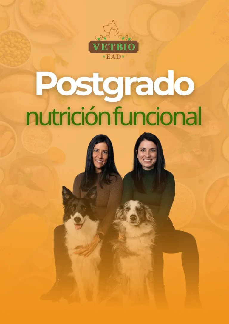 poster postgrado nutricion funcional